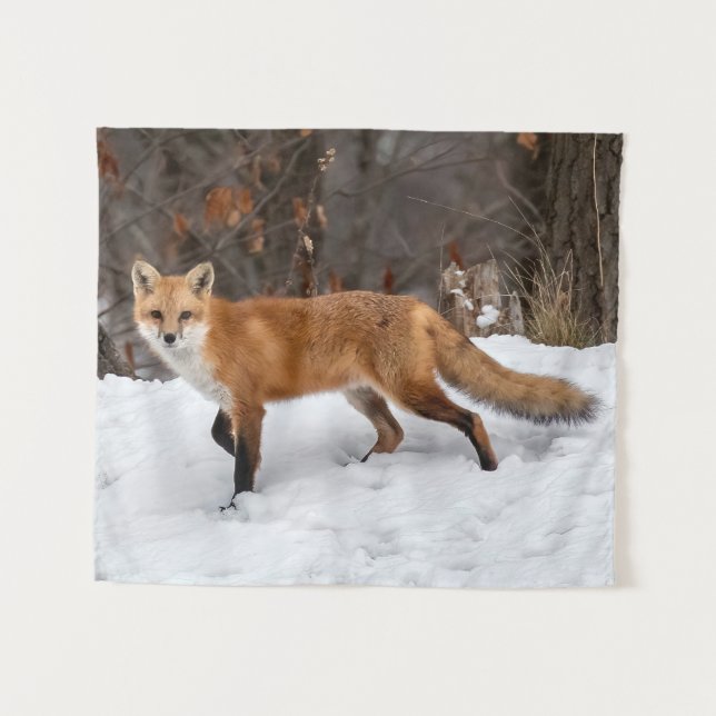Tenture Fox Sur Neige (Devant (Horizontal))