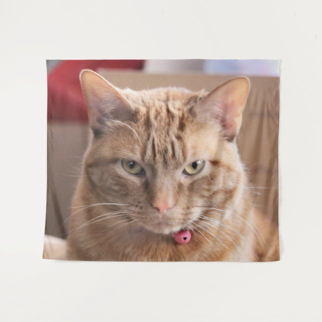 Tenture Grave (Devant (Horizontal))