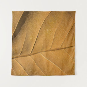 Tenture Gros plan texture abstraite de feuilles sèches arr