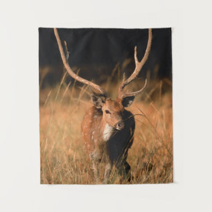 Tenture Habitat naturel du chital   Parc national de Bandh