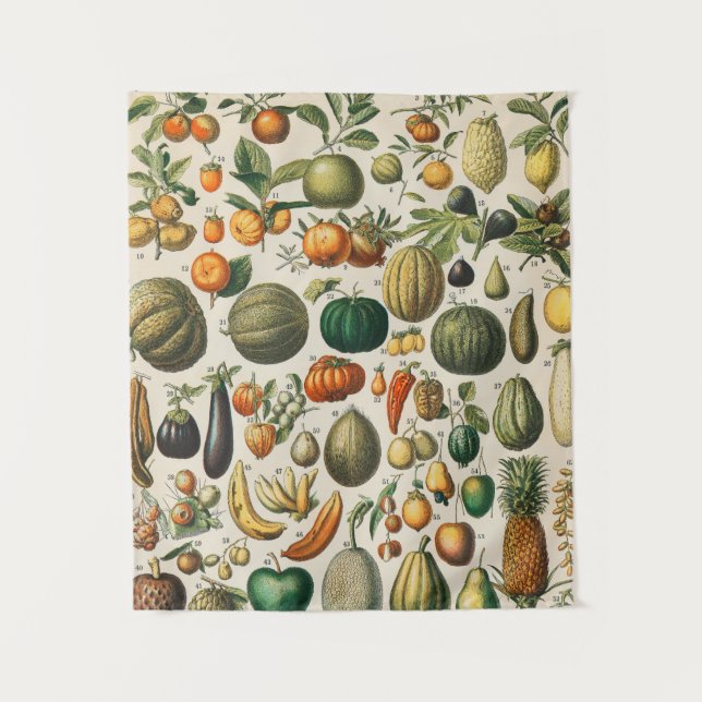 Tenture Illustration scientifique végétale des fruits (Devant)