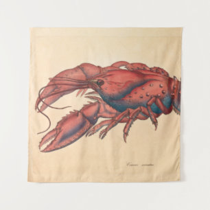 Tenture James Sowerby  Homard dentelé  
