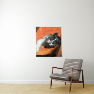 Tenture Kitten
