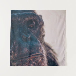 TENTURE LE PLUS ANCIEN CHIMPANZÉ
