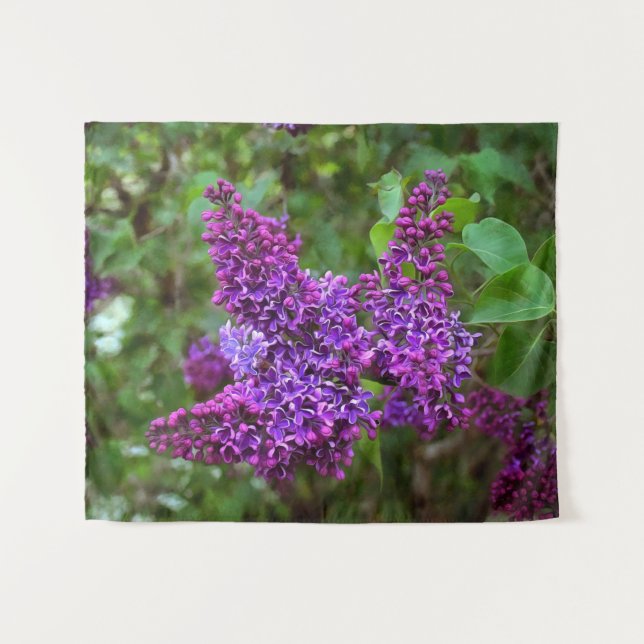 Tenture Lilacs pourpres le jour du printemps (Devant (Horizontal))
