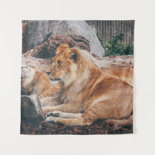 TENTURE LION ET LIONESS MENANT SUR LA SURFACE BROWN