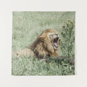 TENTURE LION MENANT SUR LA GRASSE VERTE PENDANT LA JOURNÉE