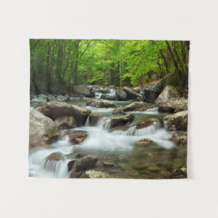 Tenture Little Pigeon River à Greenbrier