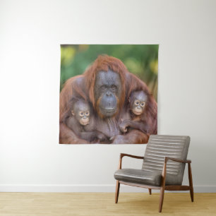 Tenture Maman Orangoutane Surveillant Deux Bébés