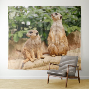 Tenture Meerkat 009