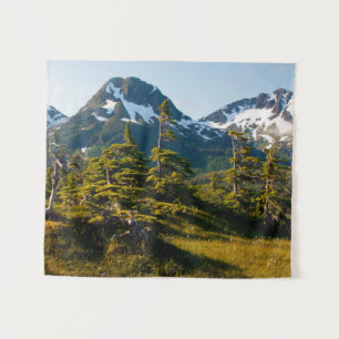 Tenture Mont Eccles près de Cordova, Alaska