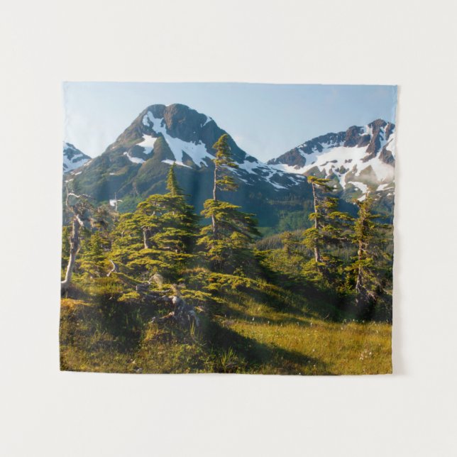 Tenture Mont Eccles près de Cordova, Alaska (Devant (Horizontal))