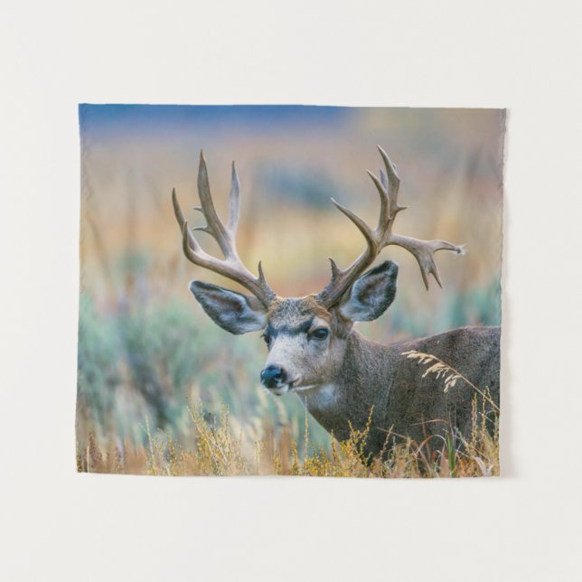 Tenture Mule Deer Buck | Parc national du Grand Teton Wyom (Devant (Horizontal))
