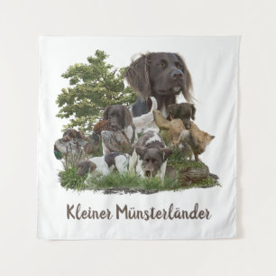 Tenture Munsterlander, polyvalent chasse-pointage-retrie