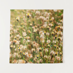 Tenture Nature background with grass flowerbackground, bea