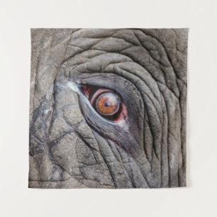Tenture Oeil d'éléphant animal proche