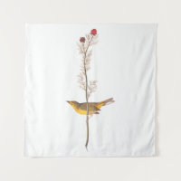 Oiseau de Paruline à capuchon Audubon sur Fleur ro