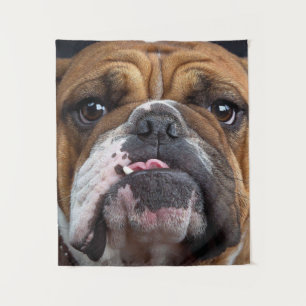 Tenture Oreillers à lancer de Bulldog anglais