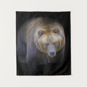Tenture Ours Brun Grizzly Animal Vie Sauvage Forêt Jungle 