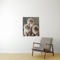 Paire adorable de Ragdoll Kittens Chat doux