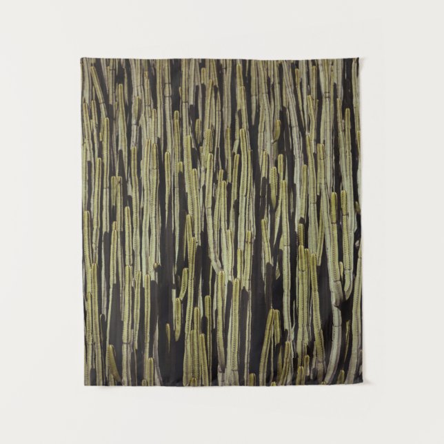 Tenture Papier peint cactus vert (Devant)