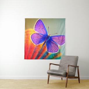 Tenture Papillon coloré