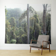 Paysage de la canopée de la jungle de Bornéo