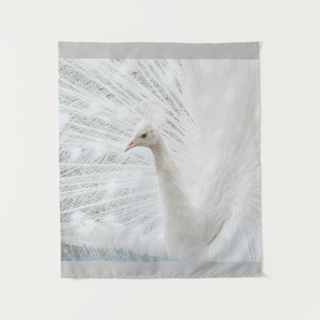 Tenture Peacock blanc belles plumes (Devant)