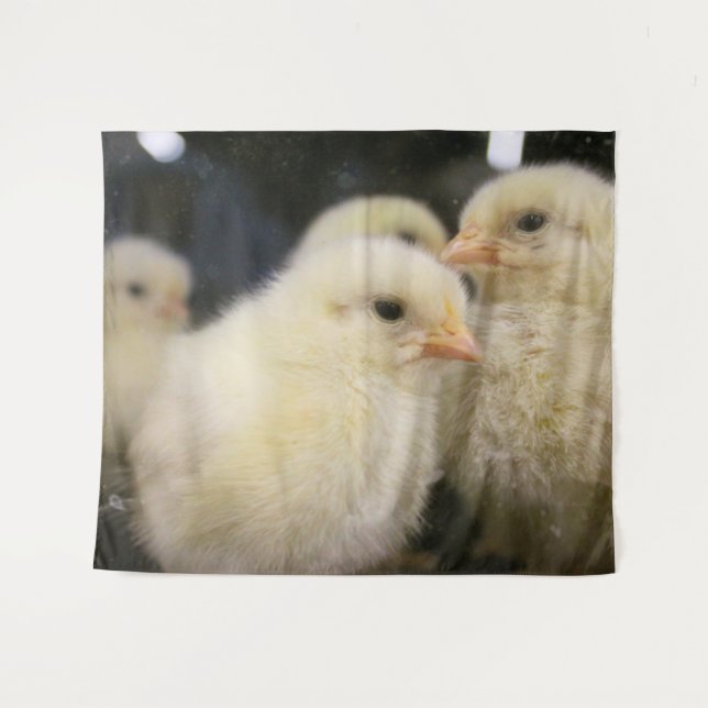 Tenture Peeps (Devant (Horizontal))