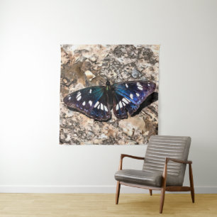 Tenture Peinture de papillon bleu de l'amiral blanc du sud