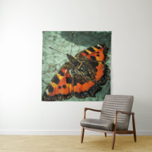 Petit papillon Tortoiseshell