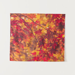 Tenture Petite nature des oliviers d'automne