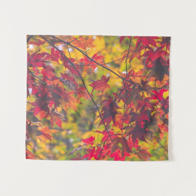 Tenture Petite nature des oliviers d'automne (Devant (Horizontal))