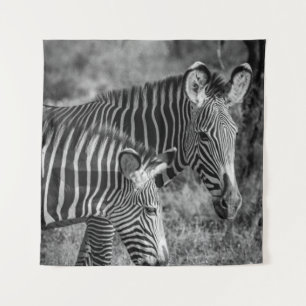 TENTURE PHOTO À GRANDE ÉCHELLE DE ZEBRAS