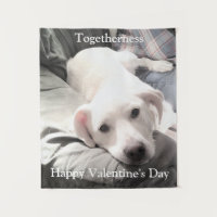 Photo de mignon chien blanc avec papa Saint Valent