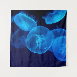 TENTURE PHOTOGRAPHIE DE CLOSEUP DE SWARM DE JELLYFISH