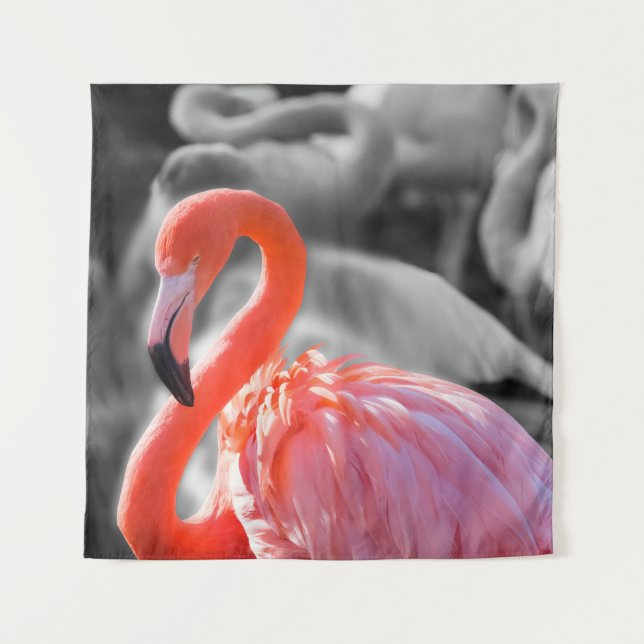 Tenture Photographie d'oiseaux Flamants roses (Devant)