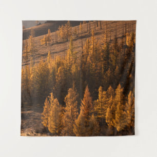 TENTURE PHOTOGRAPHIE DU PAYSAGE DES ARBRES À FEUILLES BROW