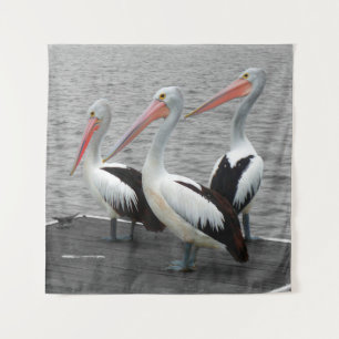 Tenture Photos Pélican Sea Bird Minimalist Color Pop