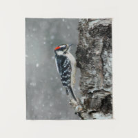 Pic Downy en neige - Photo originale
