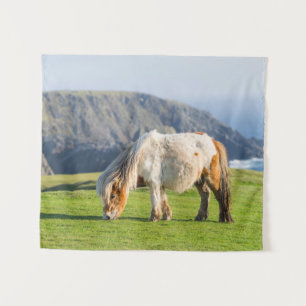 Tenture Poney Shetland dans un pâturage près de hautes fal