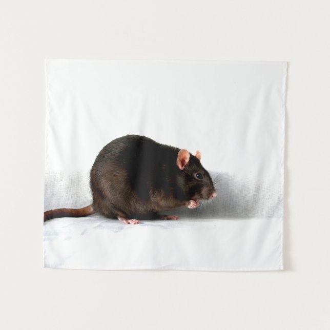 Tenture Rat wtcnm (Devant (Horizontal))