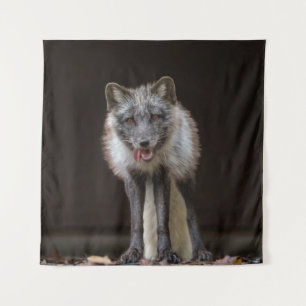 Tenture Renard argenté captivant