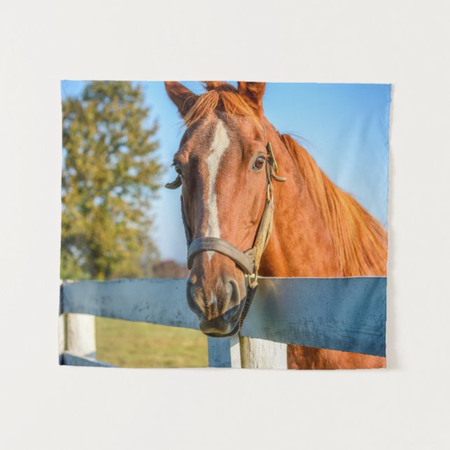 Tenture Rose Twilight | Thoroughbred Race Horse (Devant (Horizontal))