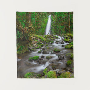 Tenture Ruckel Creek Falls, Gorge du Columbia, Oregon