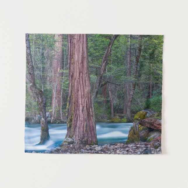 Tenture Sequoias & Merced River Yosemite National Park, CA (Devant (Horizontal))