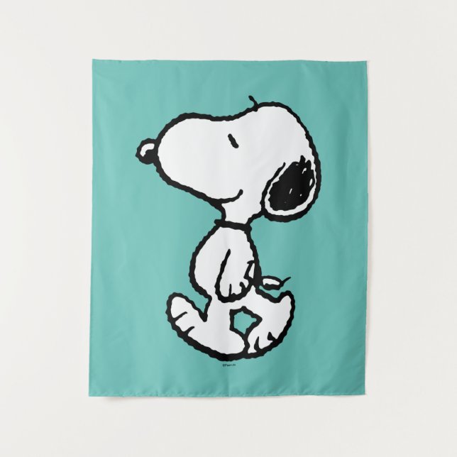 Tenture Snoopy Classic Comics (Devant)