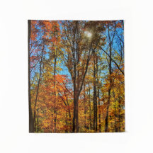Soleil à travers la forêt automnale d'automne