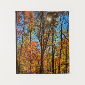 Tenture Soleil à travers la forêt automnale d'automne