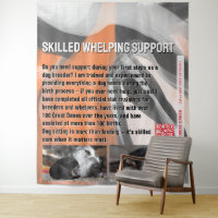 Soutien Qualifié à la Mise Bas